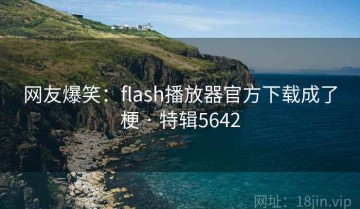 网友爆笑：flash播放器官方下载成了梗 · 特辑5642