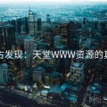 考古发现：天堂WWW资源的真相