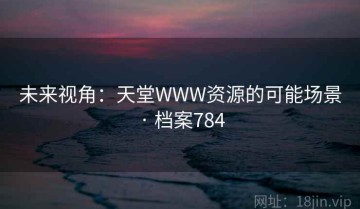 未来视角：天堂WWW资源的可能场景 · 档案784