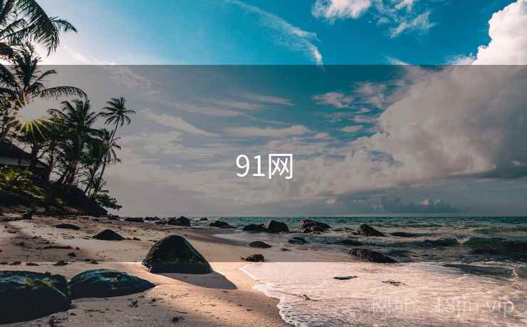91网