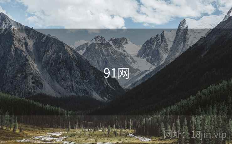 91网